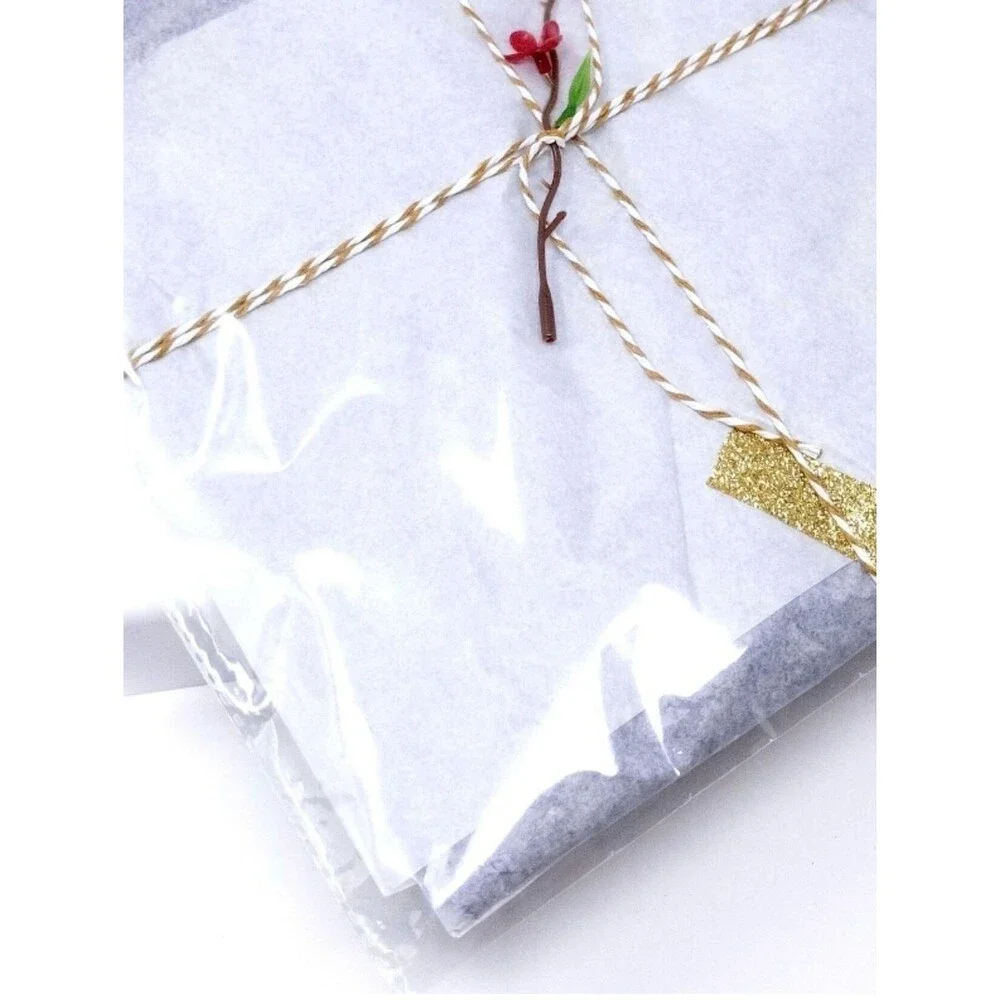 Plastic Clear 11 X 15 Resealabe Mailer Office Bags Pack 10 Bigger Size Unisex